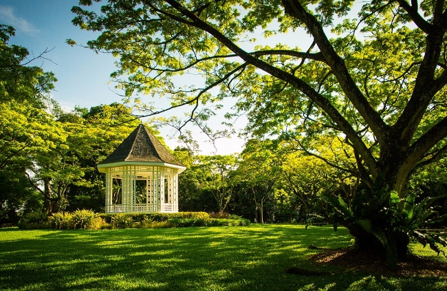 Singapore Botanic Gardens