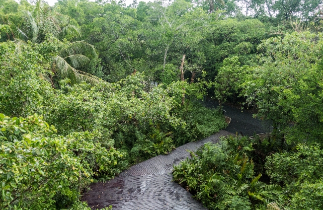 Reconnecting With Nature at Bang Kachao: Bangkok’s Green Lung