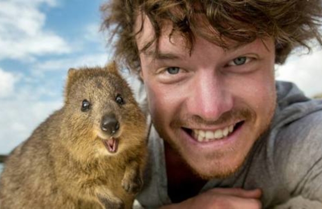 Meet the Happy Quokka on Western Australia’s Rottnest Island