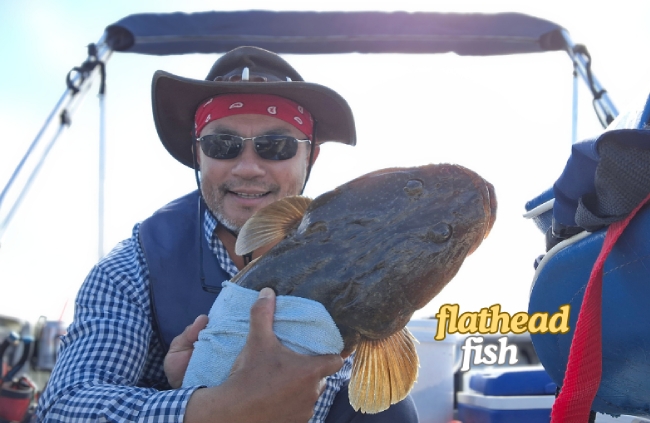 Hooked on the Journey: Dr. Hong Hua’s Fishing Life, On and Off the Clock